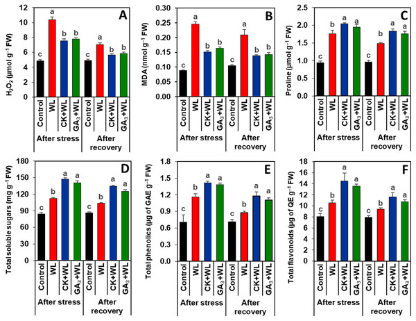 Effects of exogenous cytokinin and gibberellic acid on (A) photosynthetic rate, (B) conductance to water, (C) transpiration rate (D) WUEint and (E) WUEins in the leaves of mungbean plants after 5-day of stress and 15-day of recovery period.