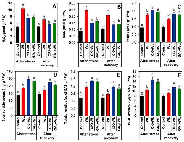 Effects of exogenous cytokinin and gibberellic acid on the contents of (A) H2O2, (B) MDA, (C) proline, (D) total soluble sugars, (E) total phenolics and (F) total flavonoids in the leaves of mungbean plants after 5-day of stress and 15-day of recovery period.