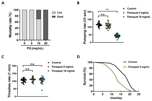 Establishing the C. elegans as a model for PQ poisoning.