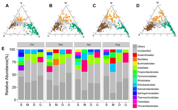 Ternary plots showing the distribution of enriched prokaryotic ASVs in surface (brown), middle (orange), and deep (green) soil layers in October (A), December (B), April (C), and August (D).