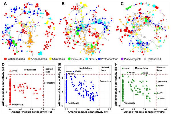 Prokaryotic co-occurrence networks in surface (A), middle (B), and deep (C) soil layers.
