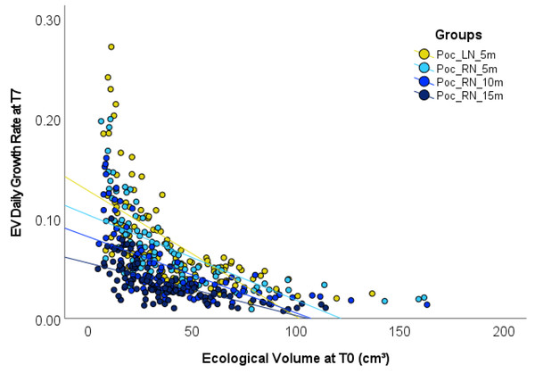Correlation between Pocillopora verrucosa fragment stocking size and growth.