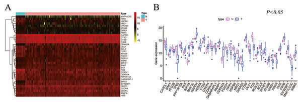  Differentially expressed autophagy genes in TNBC from the TCGA database analysis.