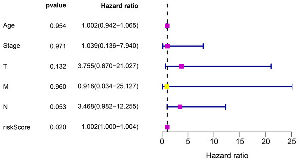  Cox regression analysis for the clinical factors and the eight-gene risk score.