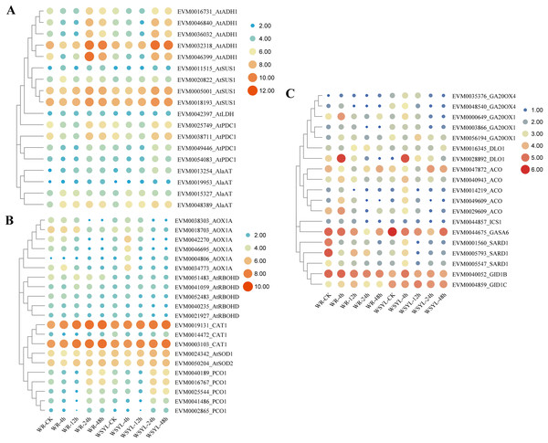 Heatmap analysis of differentially expressed genes (DEGs) encoding for important players in submergence response.