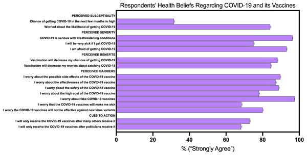 Respondents’ health beliefs regarding COVID-19 and its vaccines.