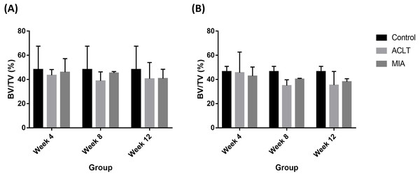 Subchondral bone BV/TV values for (A) femur and (B) tibia in week 4, week 8 and week 12 for the control, surgically (ACLT) and chemically (MIA) induced group.