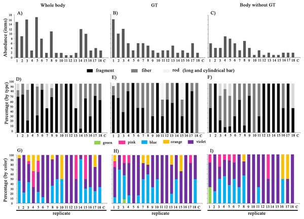 Comparison of the abundance (A–C), type (D–F), and color (G–I) of MPs in Pantala sp. abbreviation: C, control.