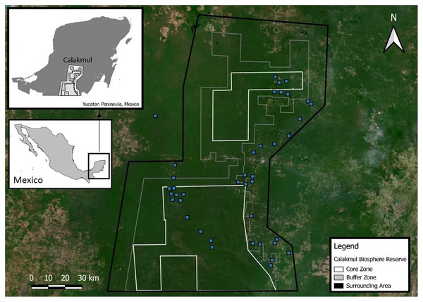 Location of the Calakmul Biosphere Reserve (CBR) in southern-central region of the Yucatan Peninsula (Mexico).