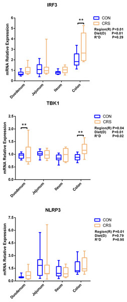 The change of relative gene expression levels of MyD88-independent pathway between CON (n = 11) and CRS groups (n = 8).