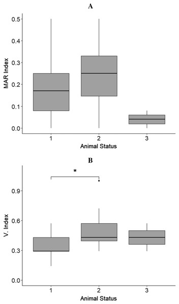Results from boxplots analysis for MAR and Virulence index (V. Index) for isolates from sloths of each animal status group.