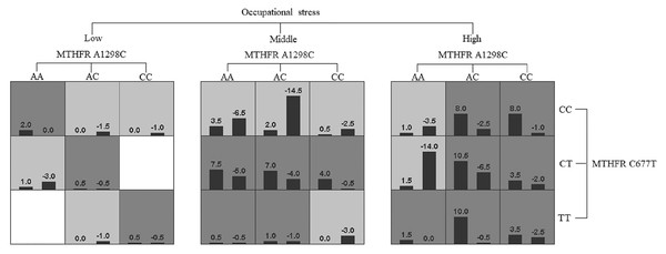 Gene-gene interaction dendrogram of MTHFR gene A1298C and C677T sites.