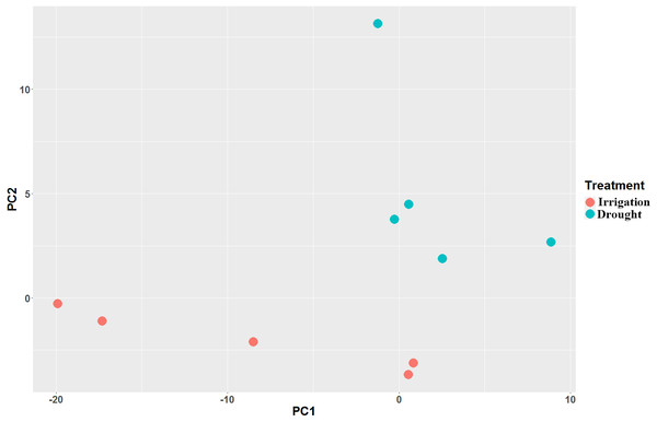 Principal component analysis (PCA) of the pear transcriptome of 10 samples collected from field drought and irrigation pear trees.
