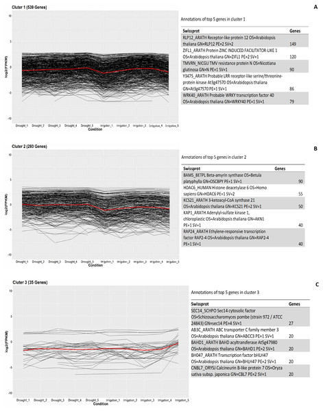 Clustering and gene ontology enrichment of DEGs between drought and irrigation treatment (A–C).