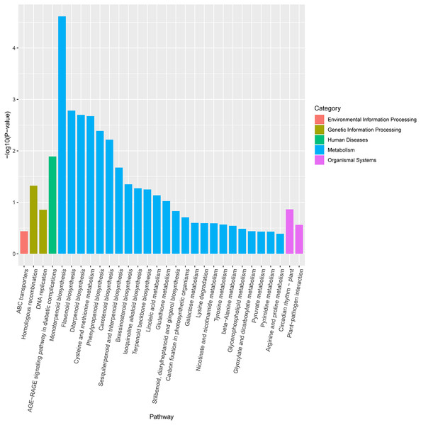 KEGG enrichment pathway analysis of differentially expressed genes between drought and irrigation pear trees.