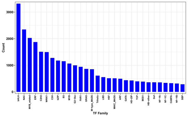 Differentially expressed transcription factors genes between drought and irrigation treatment.