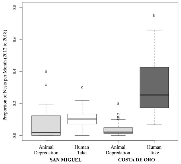 Proportion of olive ridley turtle (L. olivacea) nests depredated by animals and humans per month in San Miguel and Costa de Oro between 2012 and 2018.