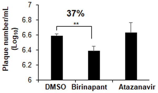 Effect of birinapant and atazanavir on the replication of SARS-CoV-2.