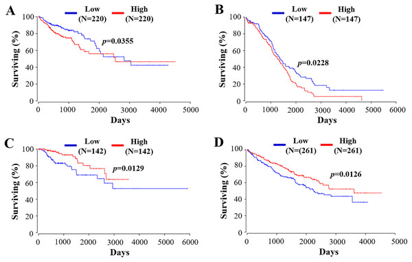 The prognostic value of RIPK4 in different types of tumor.