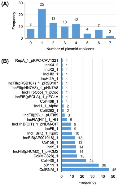 Summary of the plasmid replicon contents of 81 Escherichia isolates.