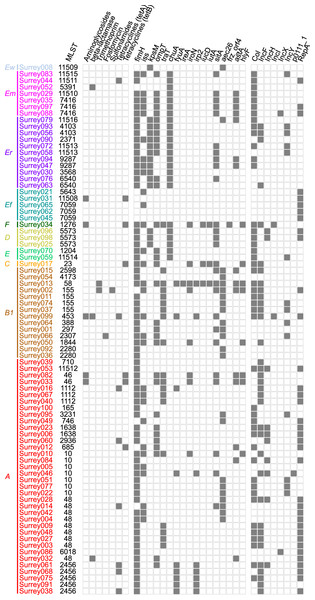 Presence (solid squares) and absence (open squares) of predicted antibiotic resistance genes, virulence-associated genes and plasmid replicons in the final 81 isolates.
