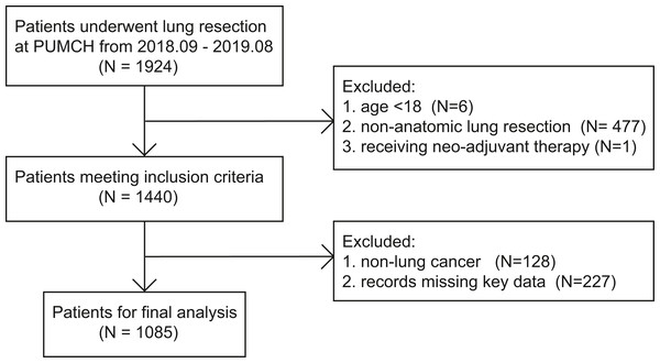 The flowchart of patient selection.