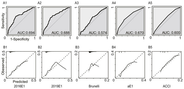 The model performances in the first analysis.