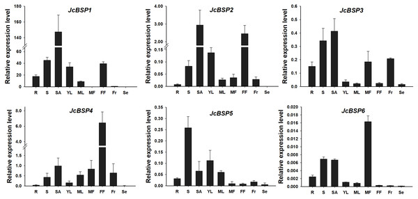 Expression analysis of JcBSPs in various tissues of adult J. curcas.