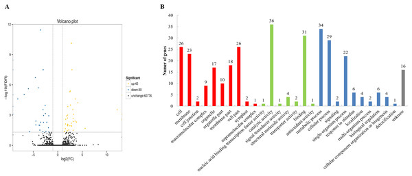 Volcano plot and Gene Ontology (GO) database of differential expressed genes (DEGs).