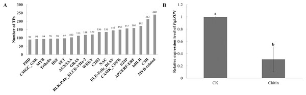 Transcription factors of American ginseng.