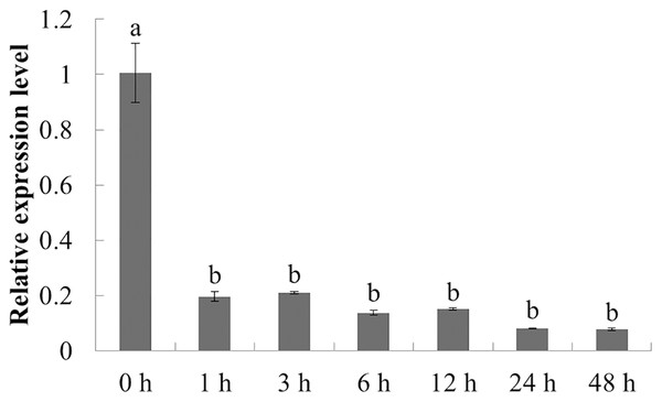 Transcriptional profiling of PqbZIP1 in response to chitin treatment.