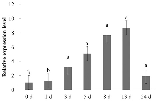 Transcriptional profiling of PqbZIP1 in response to F. solani infection.