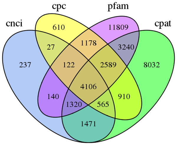 Venn diagram of the number of lncRNAs predicted by CPC, CNCI, CPAT and pfam protein structure domain analysis.