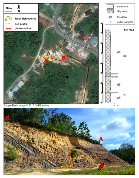 Kampong Lugu fossil site (see also Fig. 1) and stratigraphic section.