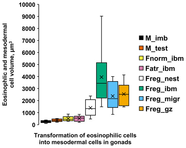 Volumes (µm3) [range, upper and lower quartile (box), mean (x), median (solid line)] of eosinophilic cells (ecs) and mesodermal cells (mcs) in A. eschrichtii with different reproductive status of testes and ovaries.