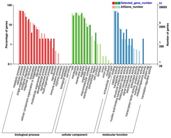 Gene Ontology (GO) analysis for genes with SNP.