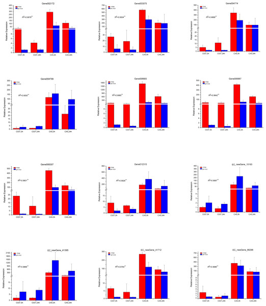 The expression levels of the 12 candidate unigenes related to cellulose biosynthesis and lignin biosynthesis as revealed by qRT-PCR and RNA-seq.