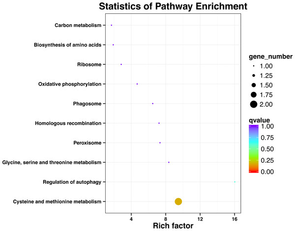 Significant enrichment pathways of KEGG for genes with SNP.