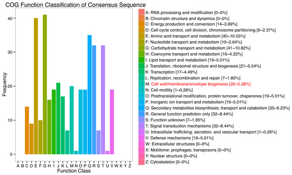 Cluster of orthologous groups of proteins (COG) functional classification for the obtained transcriptomic sequences of Eucalyptus camaldulensis.