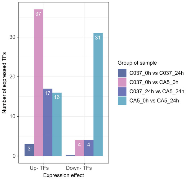 Differentially expressed TFs between four groups under wind stress.