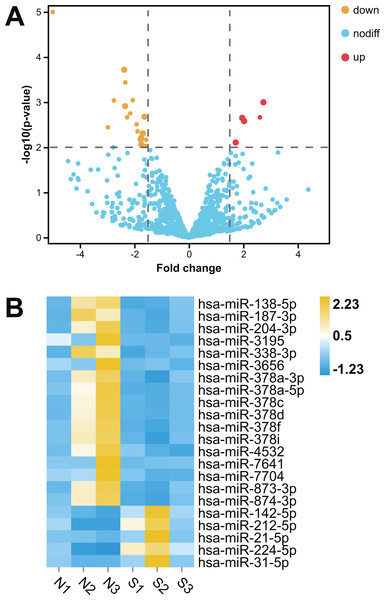 Comparative transcriptome analysis of miRNA in human kidney tissues with or without renal functional injury.