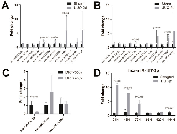 RT-qPCR of miRNAs in kidney tissues and HK-2 cell line.