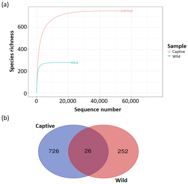Alpha diversity analyses of bacterial communities’ determination in captive and wild B. affinis faeces samples.