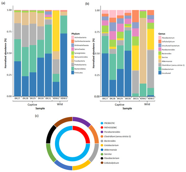 Bacterial taxonomic profiles analyses between captive and wild B. affinis faeces samples.