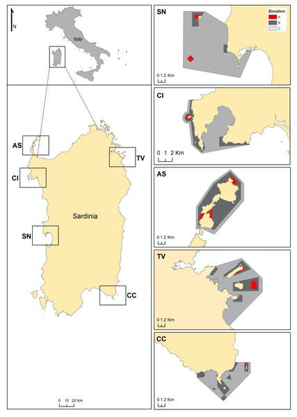 Maps of Sardinia and the studied MPAs. CI, Capo Caccia-Isola Piana; AS, Isola dell’Asinara; SN, Penisola del Sinis-Isola di Mal di Ventre; TV, Tavolara Punta Coda Cavallo; CC, Capo Carbonara.
