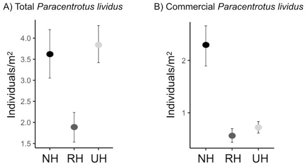 Paracentrotus lividus. (A) total and (B) commercial density (mean and the confidence interval) at the NH (no harvest), RH (restricted harvest) and UH (unrestricted harvest) sites (replicated sites n = 33, 37, and 36, respectively).