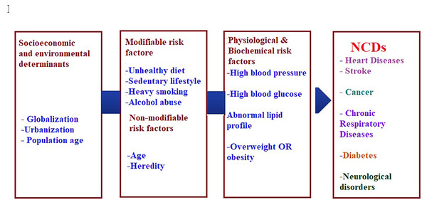 Risk factors of non-communicable chronic diseases.
