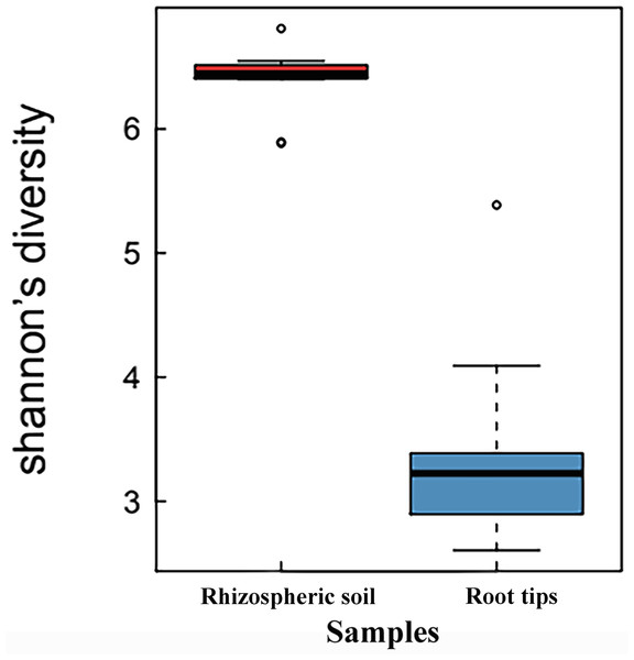 Shannon index boxplot of bacterial communities between the rhizospheric soil and the root tips.
