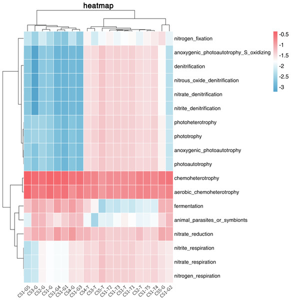 Log-scaled percentage heatmap of bacterial functions predicted in different samples.
