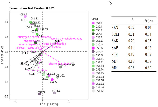 The RDA results of bacteria functions predicted in relation to environmental factors of sample sites.